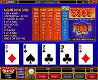 Online video poker spillet Joker Wild