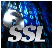 Med SSL-teknologi skal du ikke være bekymret for at spille online